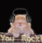 sal sunt de prin europa si vreau sa aflu cate ceva desprea hacking :d bun venit!
