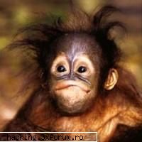 Ceva anti csdos! - s-au mai inventat programe dupa csdos ;) a grija - HaCkinG Request