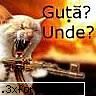 uite bantuind pe net te lovesti de una de alta de unde ati auzit de acest forum?