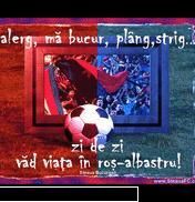 steaua fotbal