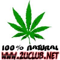 yo i-as da mai mult de 101%. dar se stie k nimic nu e perfect si ii dau doar 101%.  :d note :d