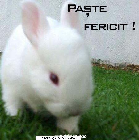 Paste Fericit ! - Hristos A Inviat!!! - La Cafenea