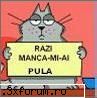 help plzzz - Caremi DaTzi SI Mie CodUl HTML Ptr redirectionare - S.O.S.