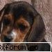 poisonIvy - Gen prorat , numai ca mie mi se pare mult mai bun - Virus/Trojan